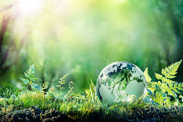 Esg Main Image Cardview 1